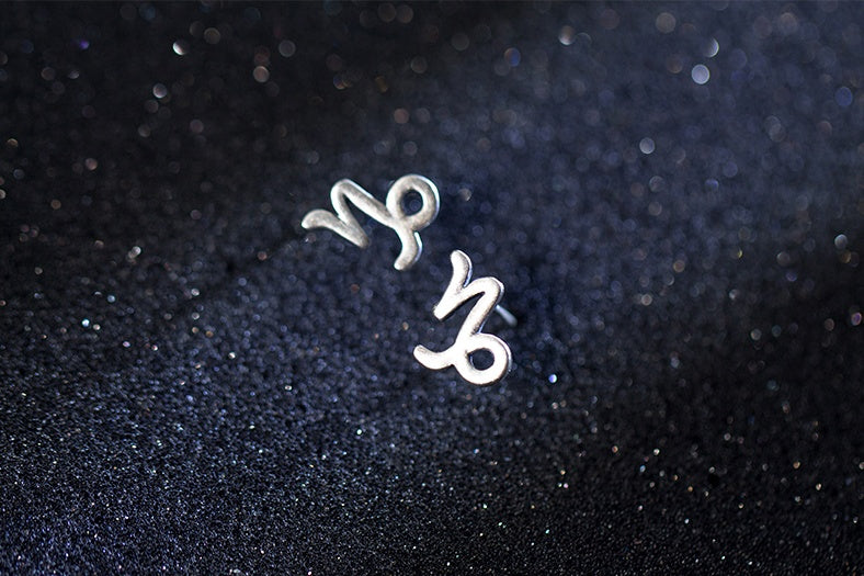 Zodiac Sign Earring