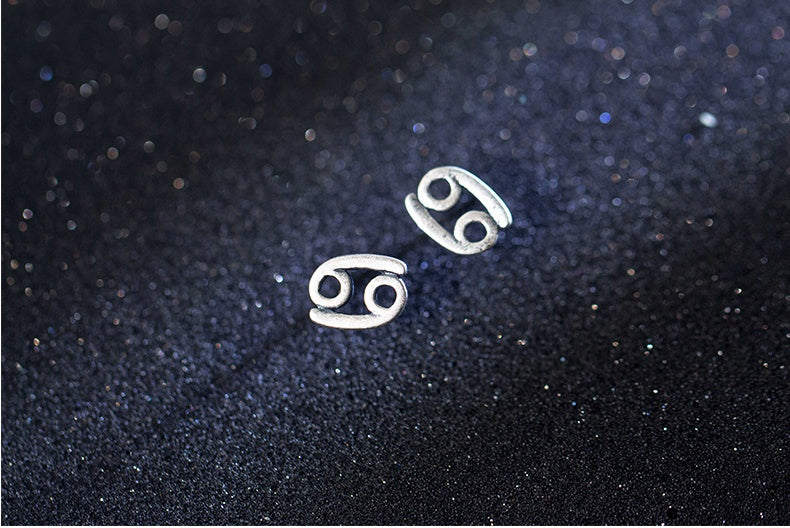 Zodiac Sign Earring
