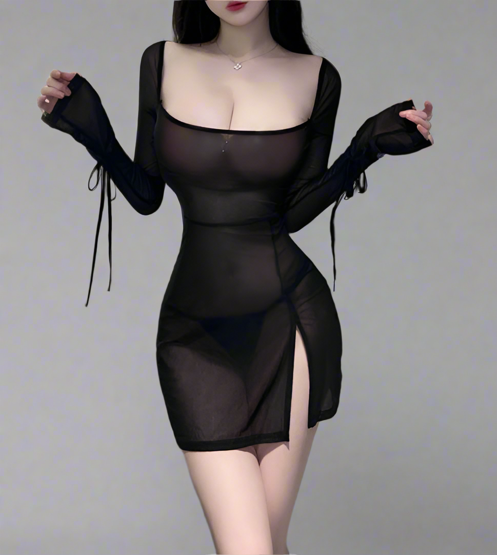 Hip Mesh Dress