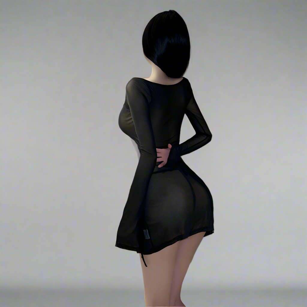 Hip Mesh Dress