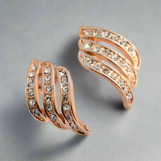 Personality Earrings